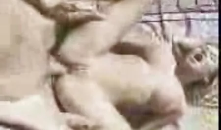 Sexy lesbiennes jouer et baiser dans une chatte trempé dans le café avec de la crème fouettée grosse vieille nue
