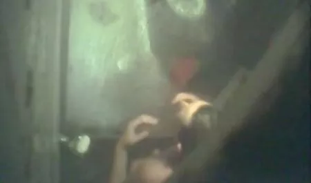 Danica James éjacule vieilles chaudasses francaises par une grosse belle bite