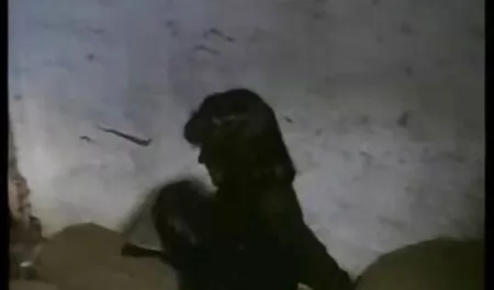 Lusty film porno vieille dame chienne dans un corset rouge conduit nigga fou